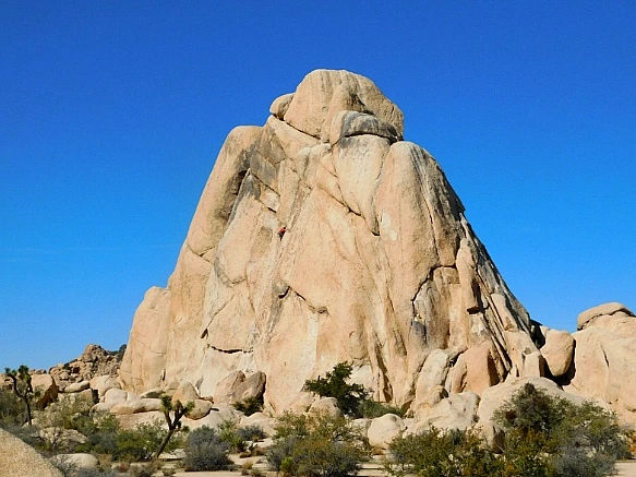 992542485BE11CB61126EC