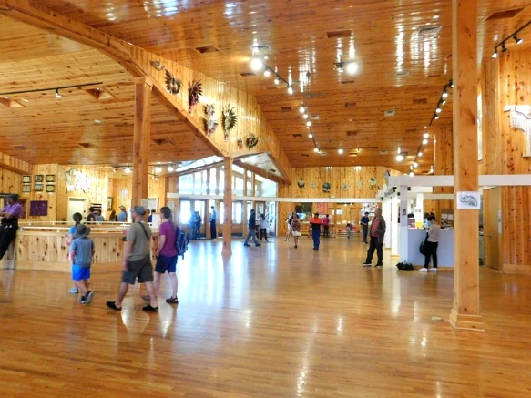 99DCD1335993AFA208E7F2