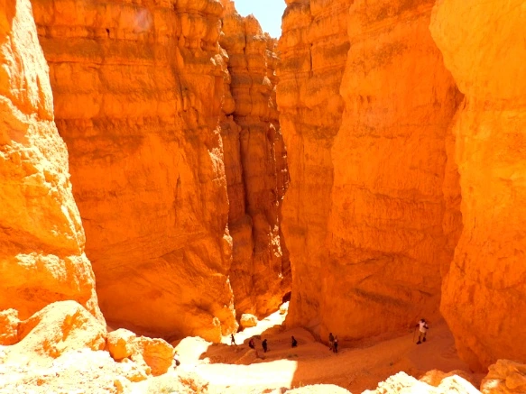 99B22B3359B878AD1B99AD