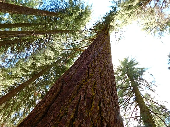 27448E4457736C1E1C3FA6