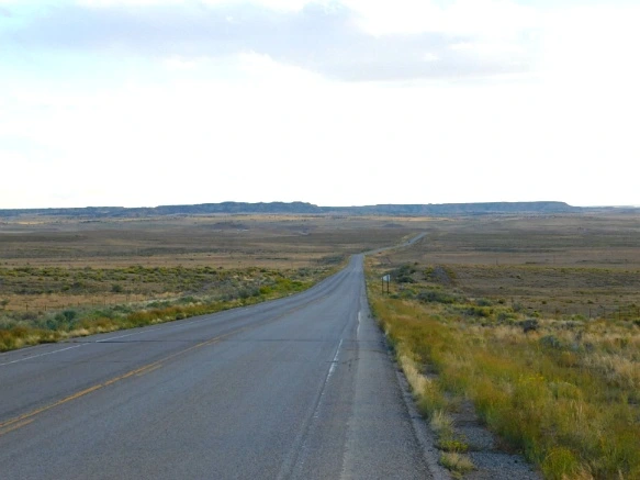 9906843359C335380481BB