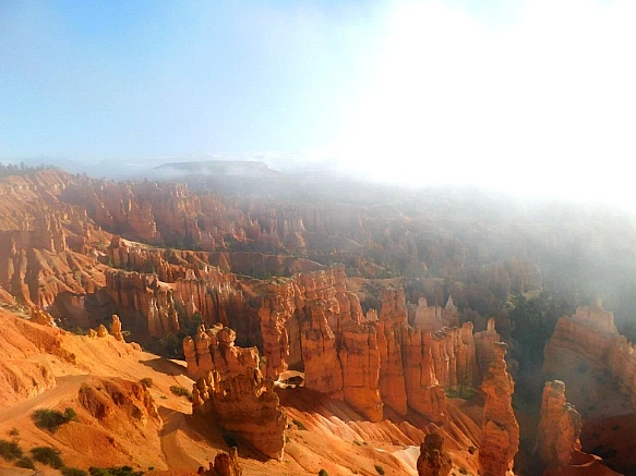 9943A9465BC2C26F3CC46F