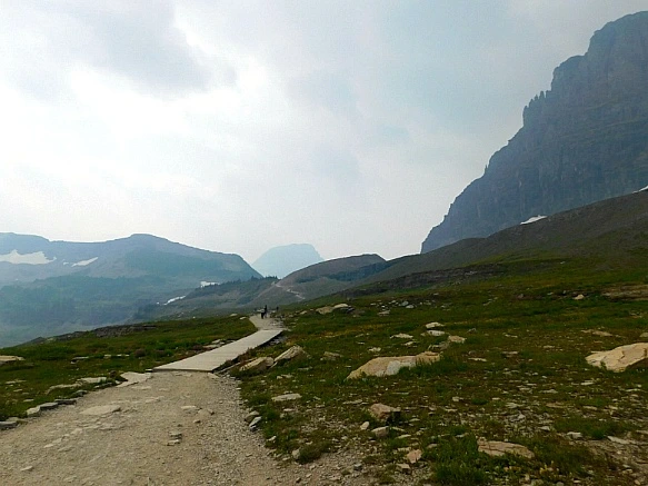 99ECAF405B8A01D8336701