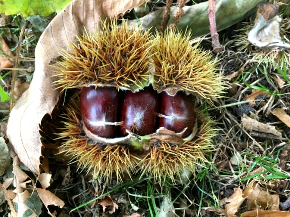 99DA1D3359D8A7F4096943