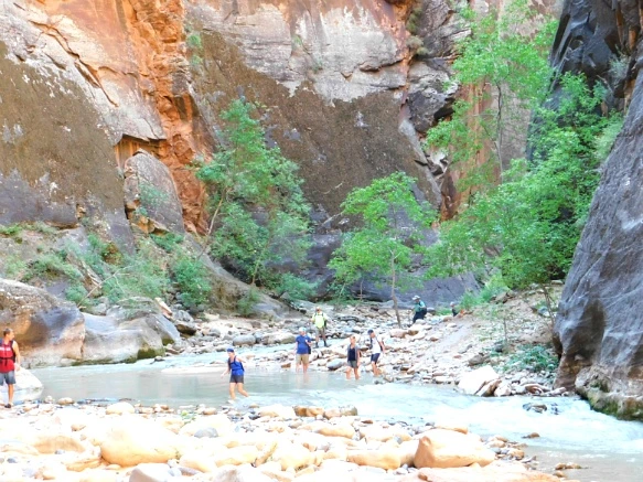 99D5B03359BB14F1055578