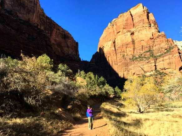 99973C335A1CB75F02A7D5