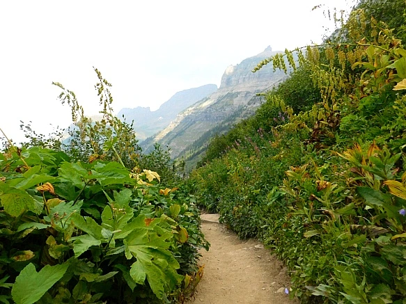 997B3F475B88AA6421E62F