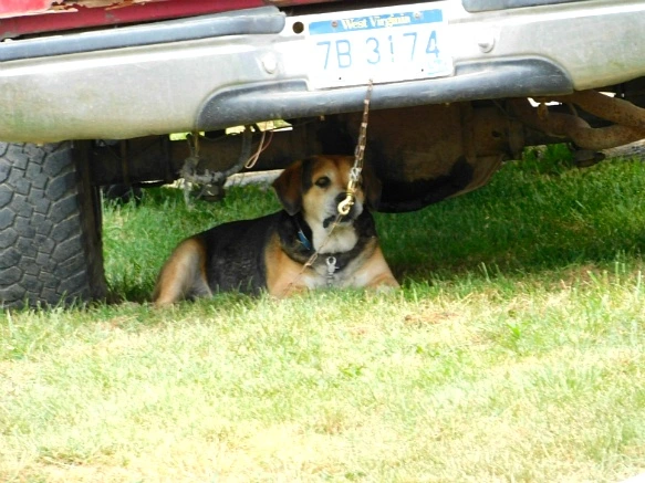 235CC43D594C7741047B50