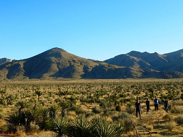 99A96A4C5BE11AEB08490F