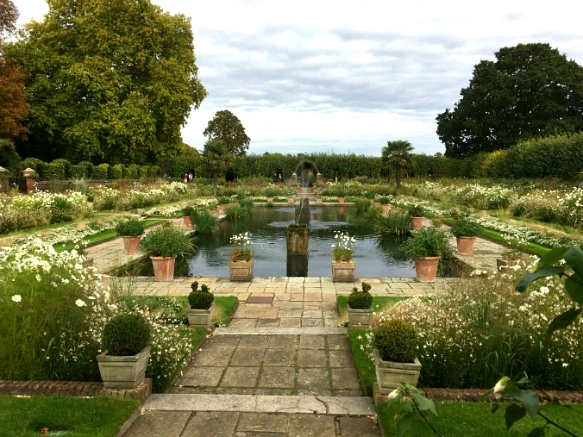 991B723359DD4FBB2476F6