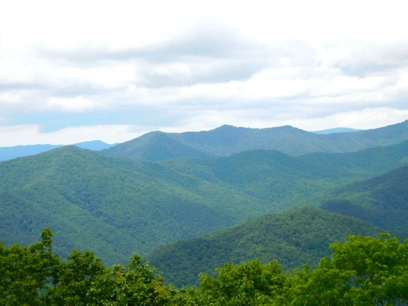 24695748595096CA1756AB