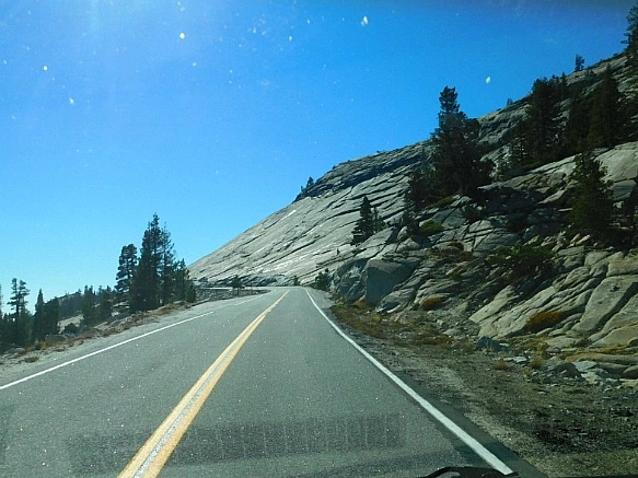 99A8D6385BD66E382C82BC