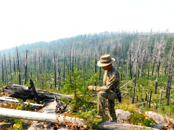 997EBA3359A62E7711DF5B