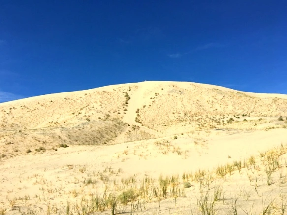 999F42335A210660362C1B