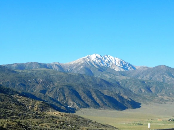 26462C3D57702E2905F551