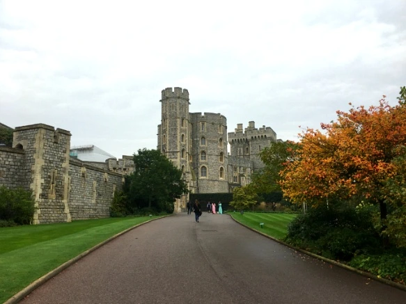 994FAD3359D8A55B1DCEA1