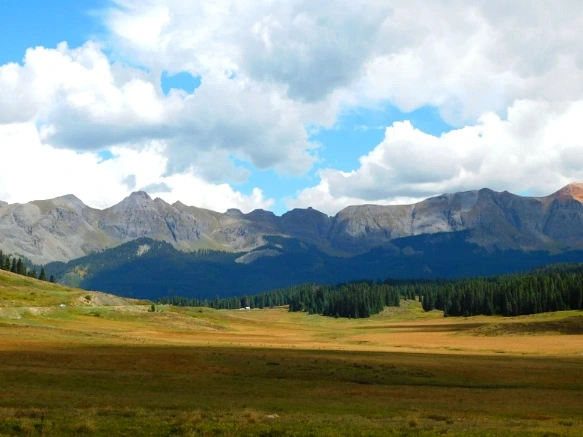 99AEAD3359BF46EB301D90