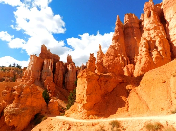 993BDF3359B9B8F51A016D