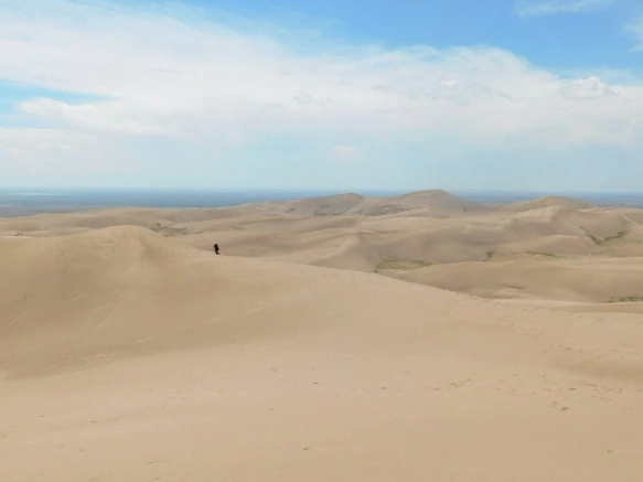 996A324B5B69234335D06A