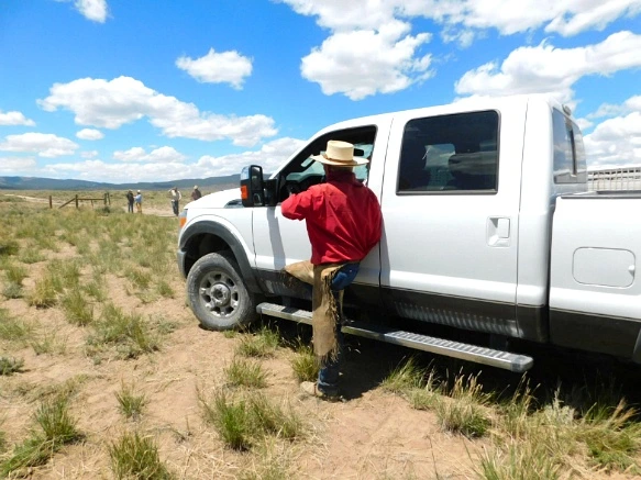 2212684359363529346944