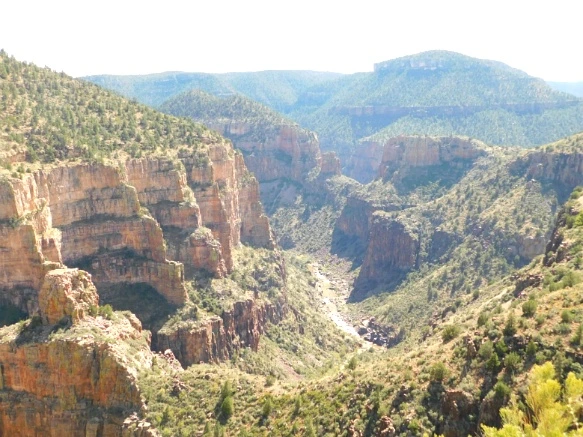 99C3A83359C879721740EA