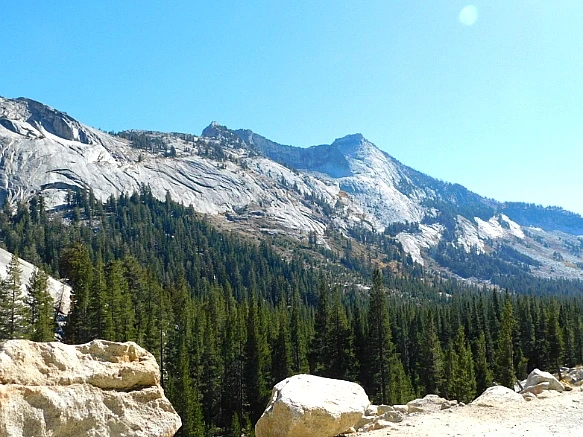 99337F385BD66E2C257151