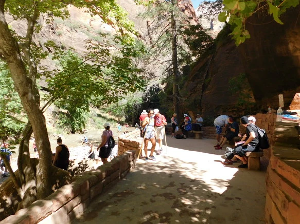 99A2FA3359BB12E5329DB2