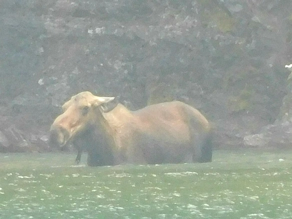 991219435B8755E91763B1