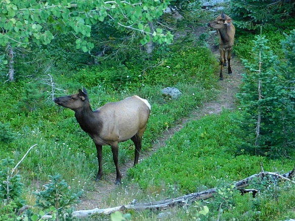 99EFDB475B7268CD40DFA3