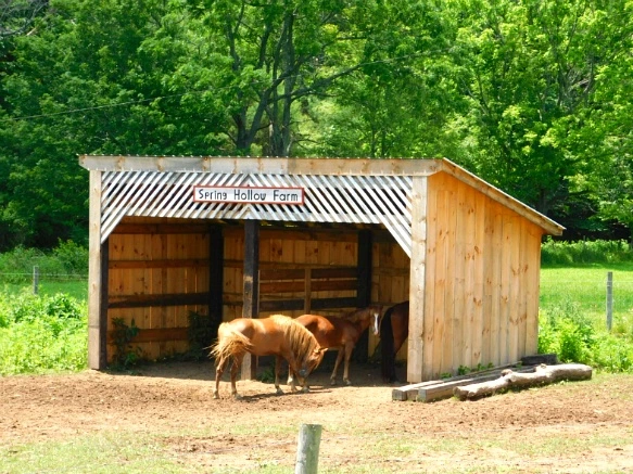 2208C13D5950304C140CAF