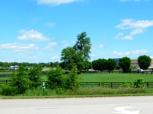 21F67A33597D17012B0BAE