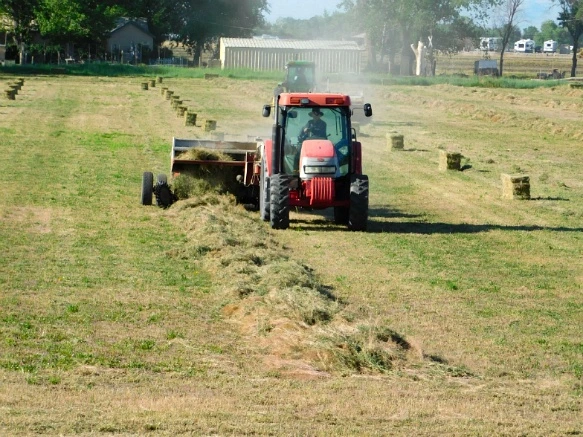 241E9C3559320620389896