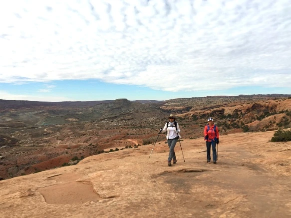 99FA8C335A1113A10778A1