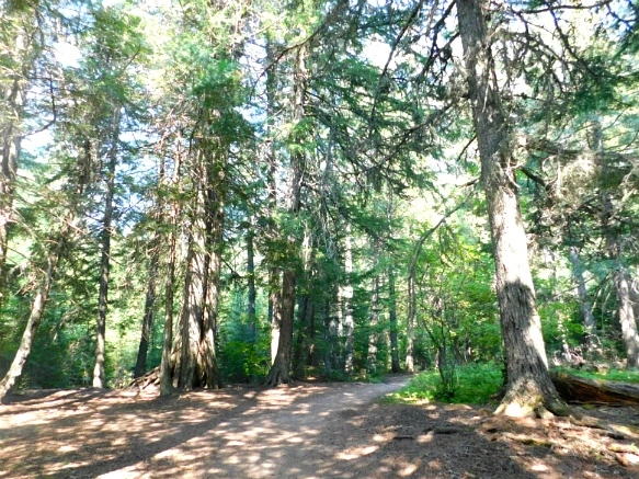 9956753359A2485025440B