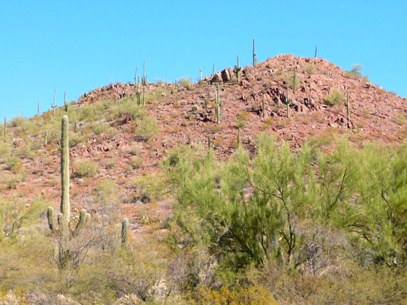 99F675335A2A126A0EE225