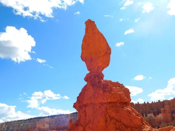 99253C3359B9B8FF1CF8BD