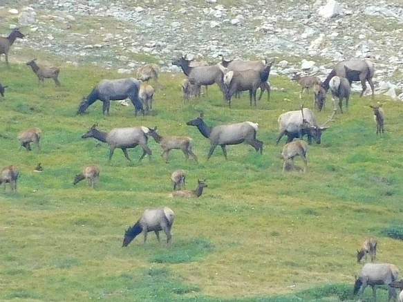 9945A54B5B74CDE3015072