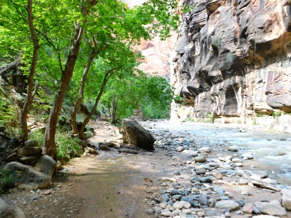 99CFB33359BB150D2F54BB