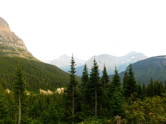 990DA83359A103B9205810