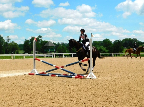 210B6E33597D17262BEFF0