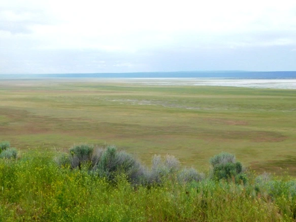 990FF9435B2DDE171D91EE