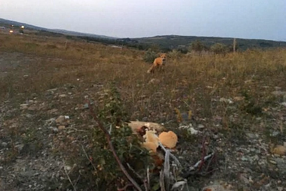 99F1EE4F5B95EFD3260906