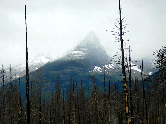 998EB9435B8DC3B1098574