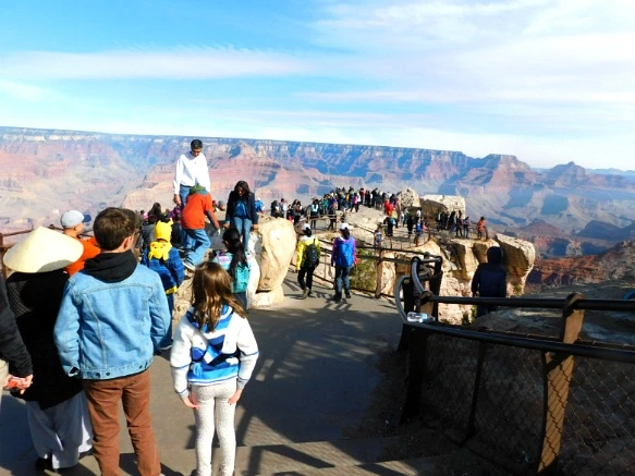 992D92335A1F61D42F03D7