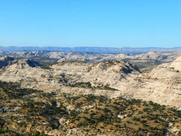 99BD943359B74D5F22549C