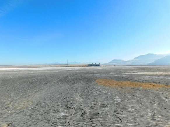 9989E7335A0E546F3D1922