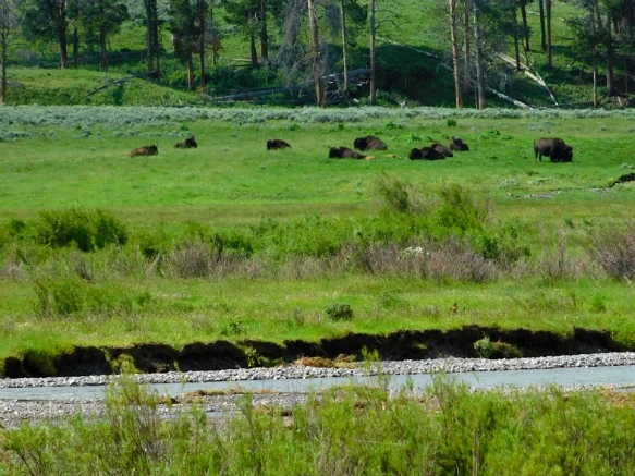 9998A53E5B3B01B61D1E16