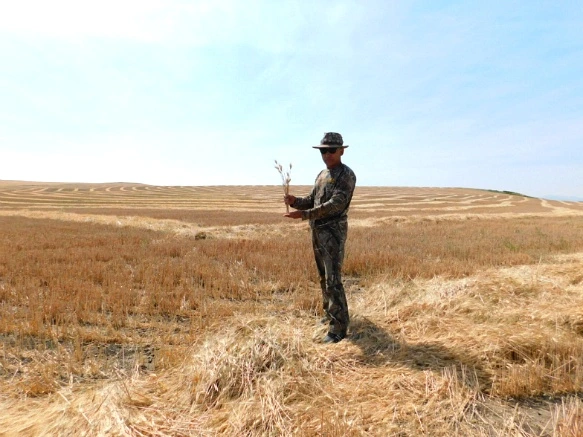 9912D233599F9D601F547A