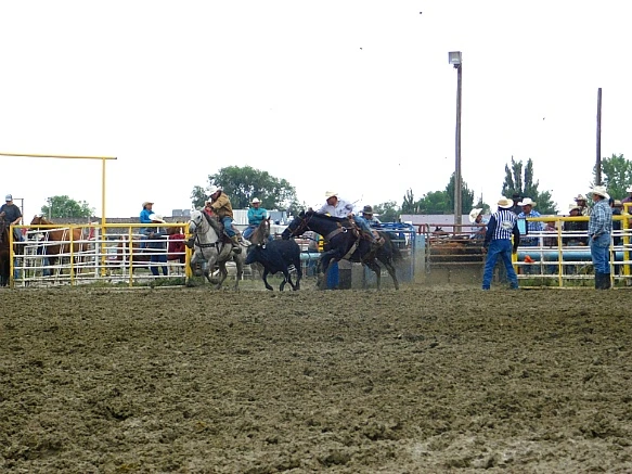 99580F395B7F7DCD2ADDEC