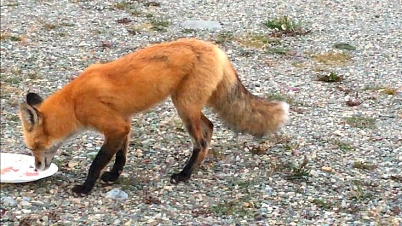 99B484445B95EEFA111F44